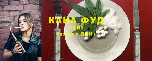 молекула духа Гусиноозёрск