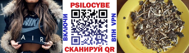 блэк спрут зеркало  Краснозаводск  Псилоцибиновые грибы Psilocybine cubensis  как найти закладки 